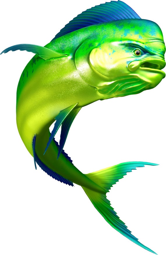 Mahi Dorado Fish Fishing Color Decal 6x4 Boat Car