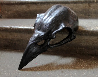 raven black skull mask
