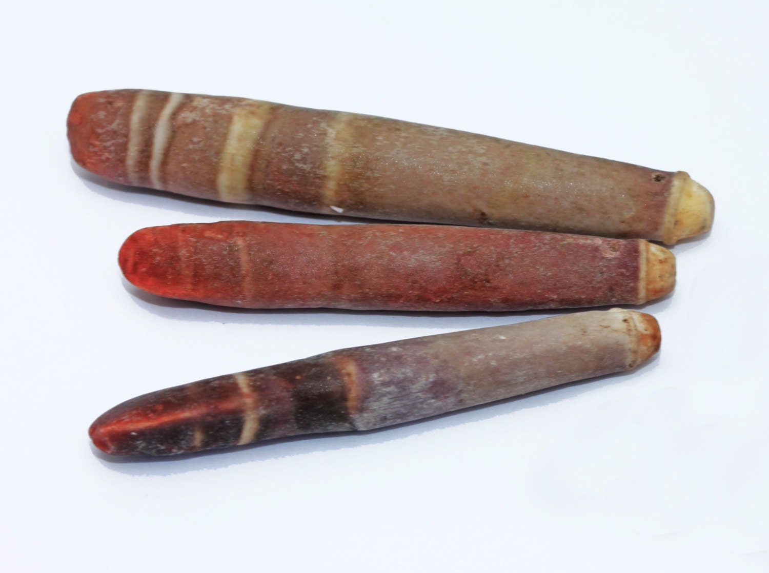 Windchimes Rustic Sea Urchin Spines Stick Beads Suncatcher Making Windchime Jewellery Natural