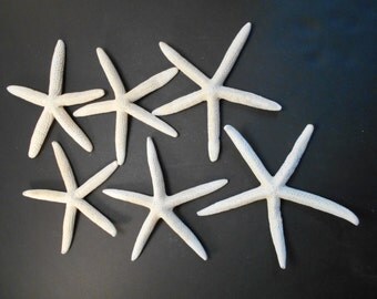 12 Beautiful White Finger Starfish 8-10" Beach Wedding Coastal Decor Crafts Nautical Ocean