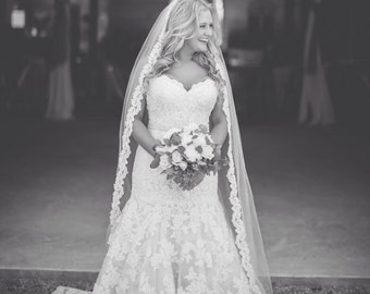 Lace Wedding Veil