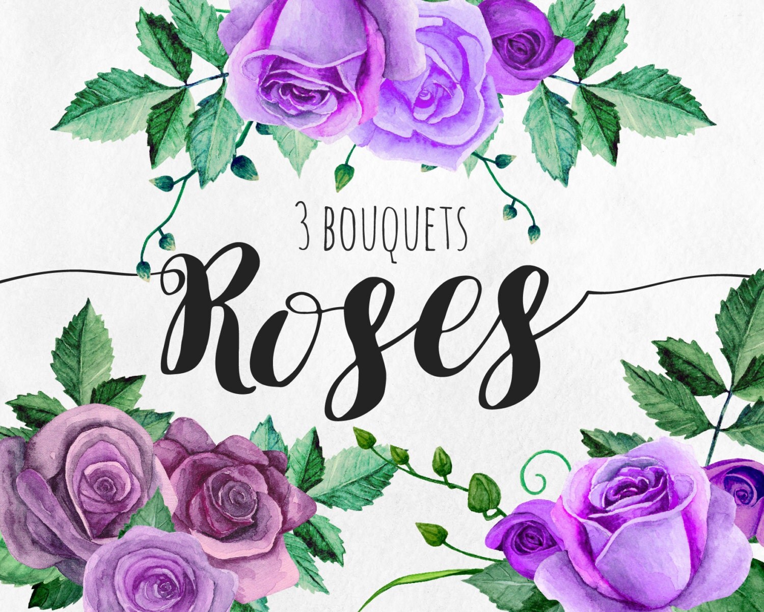 Download Purple roses clip art Watercolor flowers clipart Floral