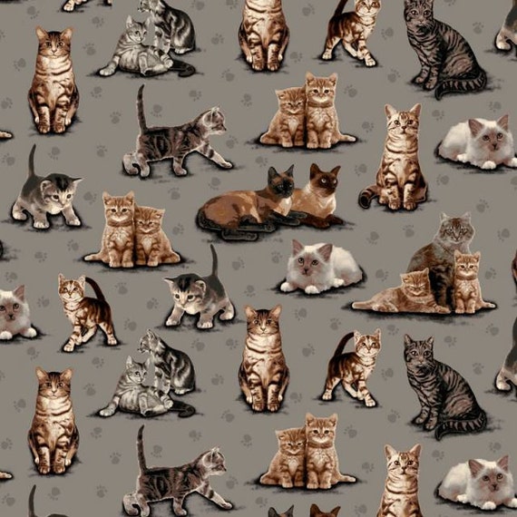 Fleece Fabric Cat Blanket Fabric Style 34369 by