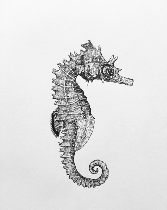 Seahorse Art Print Pen and Ink Drawing by FernsandFins on Etsy