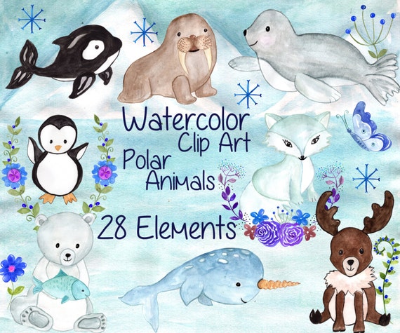 Download Watercolor winter animals clipart: POLAR ANIMALS