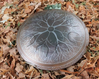 Freezbee Drum. Handpan,Pantam, Steel Tongue Drum