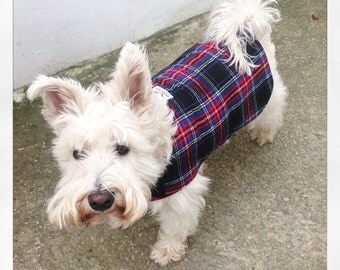 Tartan dog coat | Made to measure dog coat | Red and black coat | Cosy fleece lining | Smart stylish jacket | Dog sweater | Pet coat |