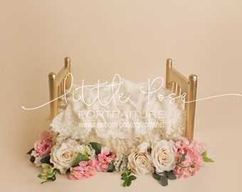 Little Pose ~ Gold Bed Newborn Digital Background High Res jpg file