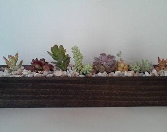 18 inch beautiful succulent planter