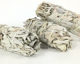 3 White California Sage Smudge Sticks 5 inches each. Extra Dry & Tightly Packed Premium CA Grade