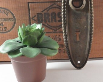 Antique Embossed Brass Door Plate