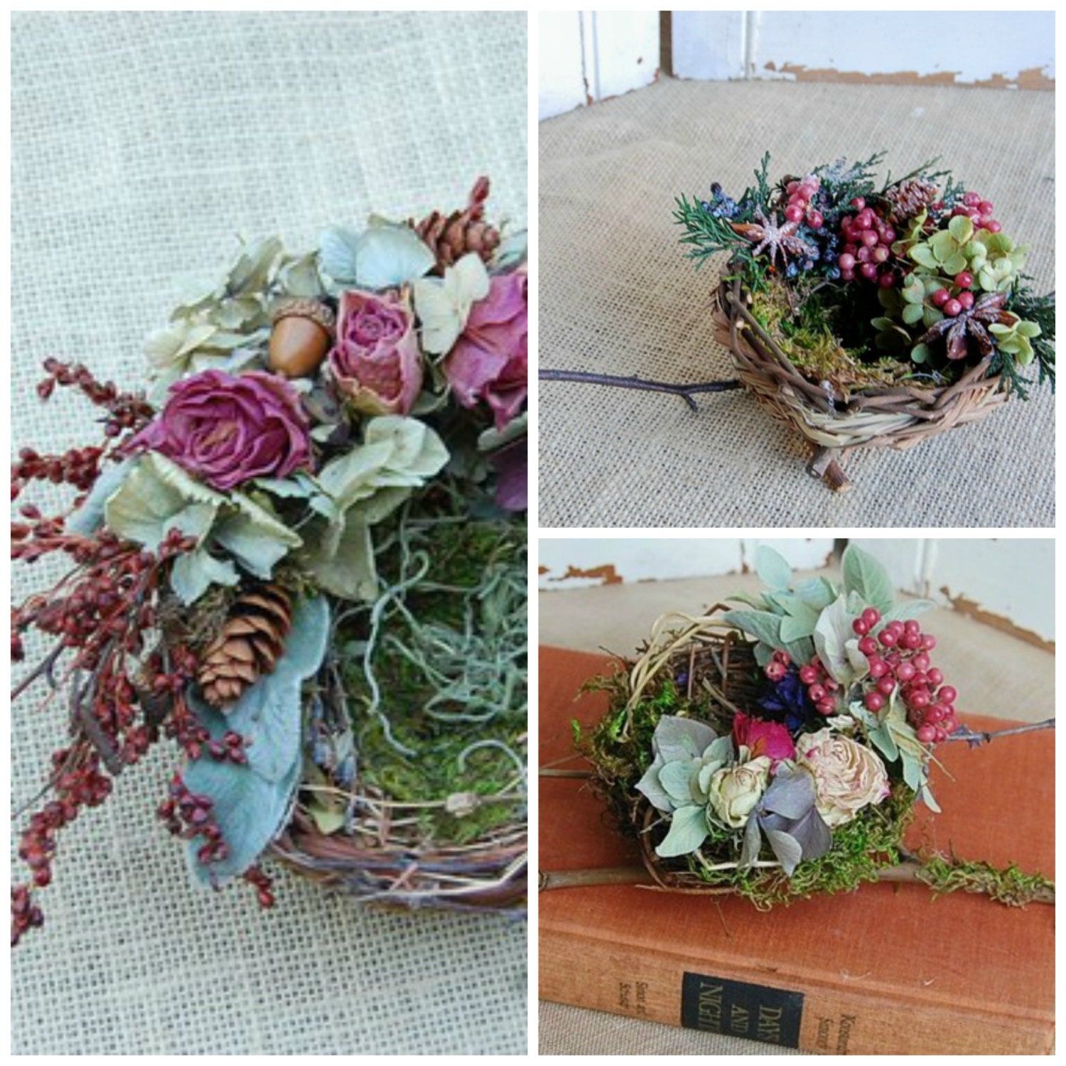 Bird Nest Collection Dried Flower Nests Three Nests