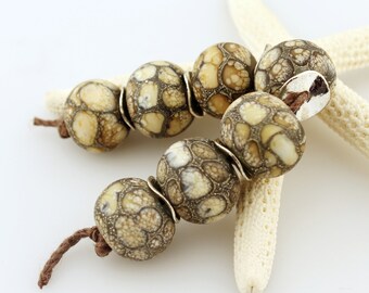 Lampwork Glass Bead Set SRA Organic Rustic Ivory Gray 'Crocodile Tears'