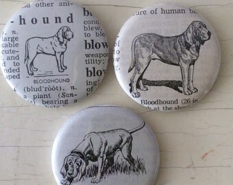 Bloodhound Vintage Dictionary Magnet Set of 3