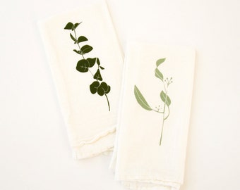 eucalyptus seeded