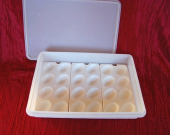 Large Vintage Tupperware Deviled Egg Tray Storage Frosty White 9 X 13 Container and 3 Egg Tray Inserts