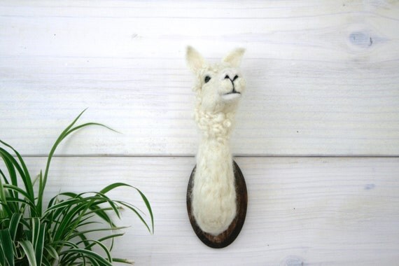 Felted Alpaca (Vicugna pacos)