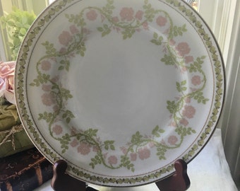 Gorgeous Haviland Limoges France Dinner Plate