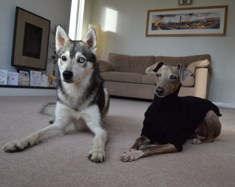 Luxury Superwash Merino Italian Greyhound Dog Sweater