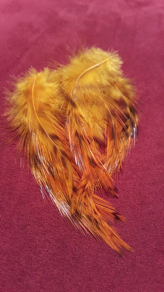 Dyed Chicken Feathers Cruelty Free