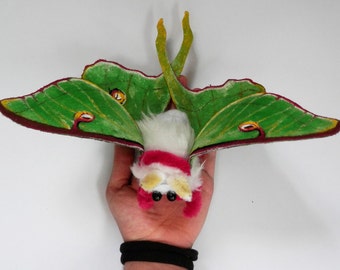 luna moth plush