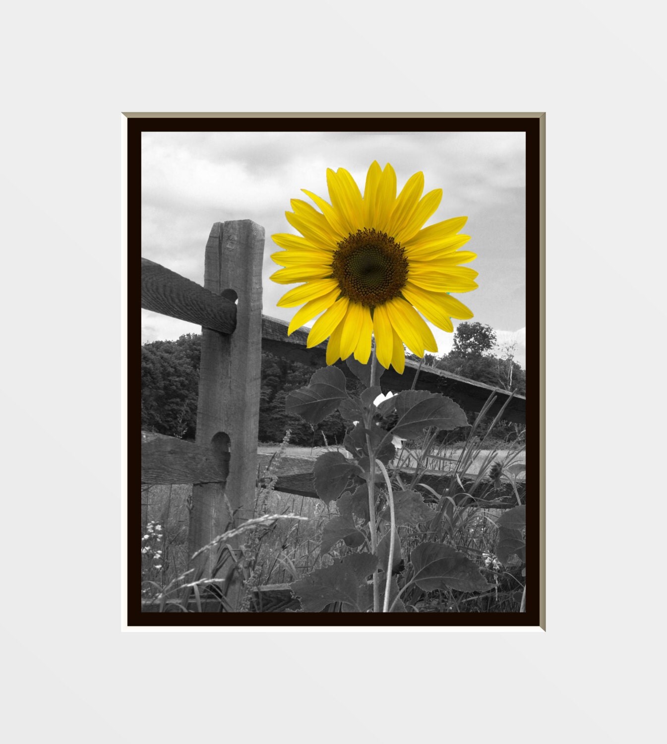 Yellow Gray Wall Art