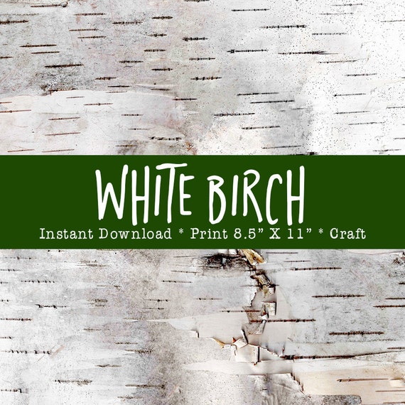 white-birch-tree-bark-printable-for-holiday-crafts-diy-instant