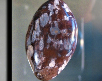 Fossil Stone Designer Cabochon 7057