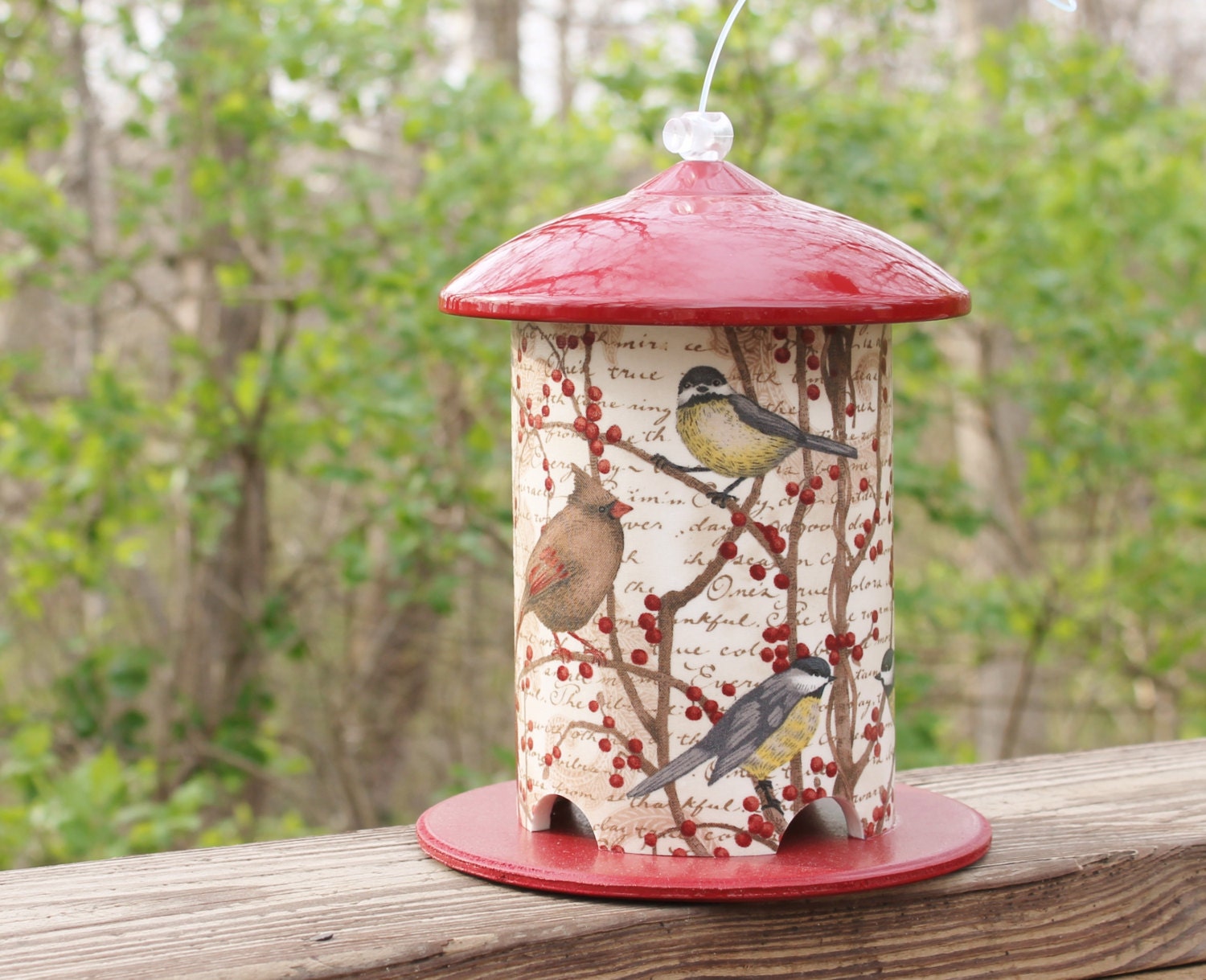 Birds & Berries 2.0 Custom PVC Bird Feeder by Bird Feeder Guy.