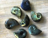 Small Labradorite Ammonite-Hand Carved Labradorite-Labradorite Palm Stone- Labradorite Worry Stone- Mediation Tool-Reiki Healing-Labradorite
