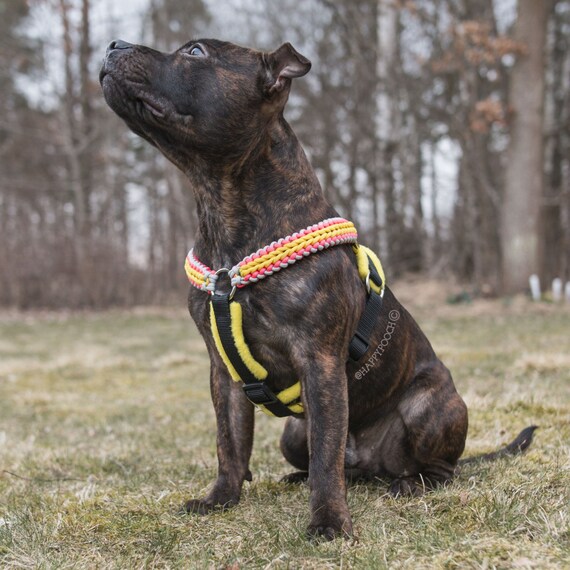 Adjustable Paracord Dog Harness Fleece Padded by HappyPooch