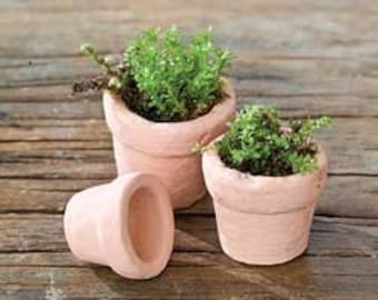 Set of miniature flower pots, mini clay pots, fairy garden flower pots, miniature planters, fairy garden clay pots, succulent cutting pots
