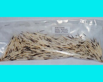 1 lot of 21 (1/2 ounce) bags of Washed North American Porcupine Quills: 1/2 oz. Bag