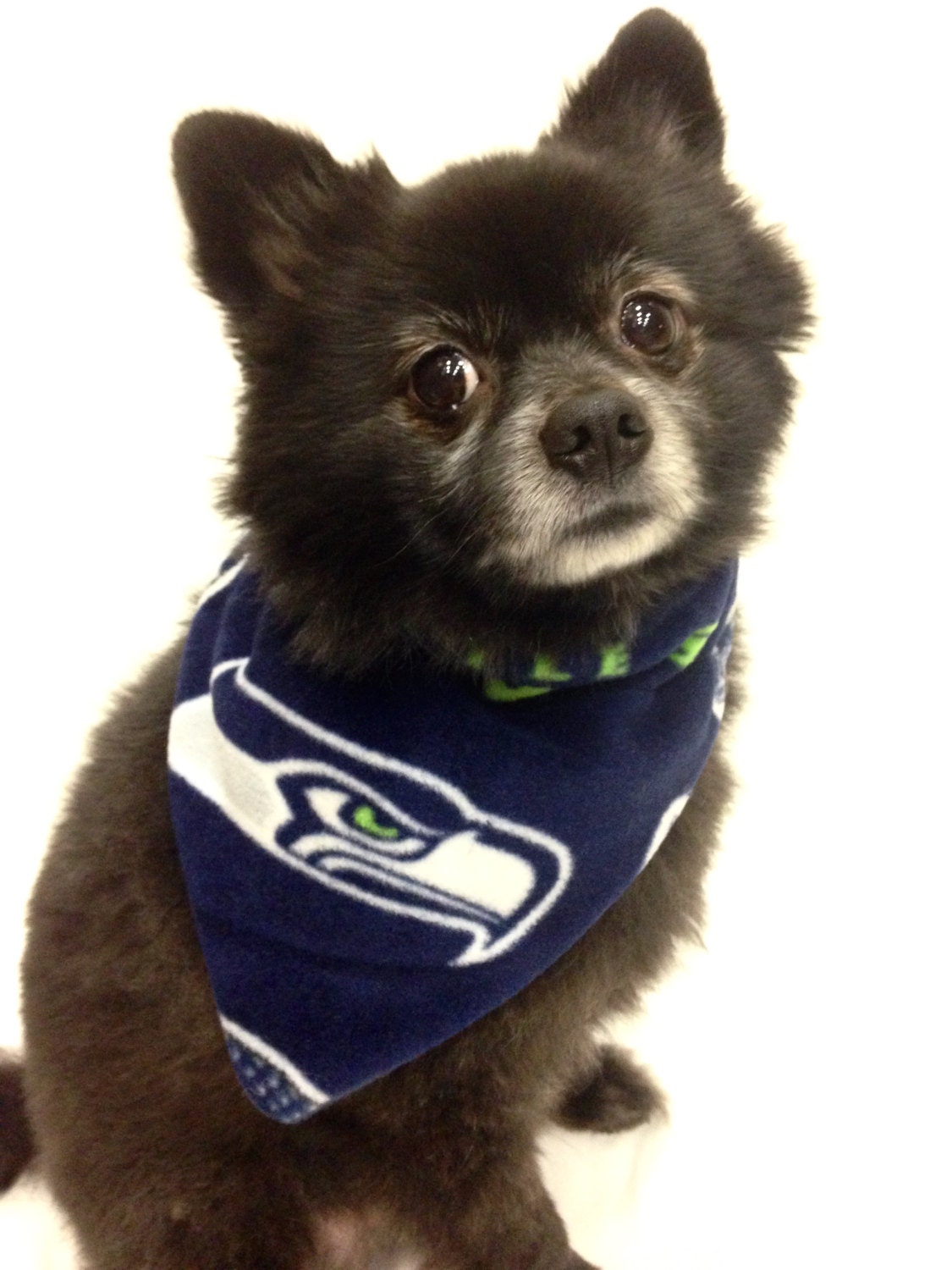 Seattle Seahawks Dog Bandana, Sports Bandanas for Dogs by LizzyAndMeekoShop  on