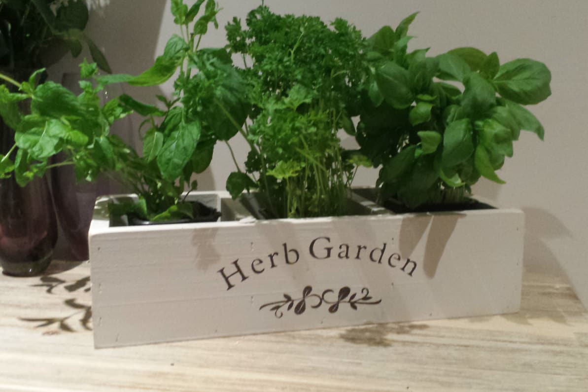 Herb planter kitchen herb planter window box planter indoor