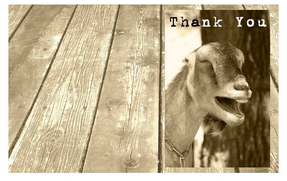 goat-thank-you-card-farm-thank-you-birthday-thank-you