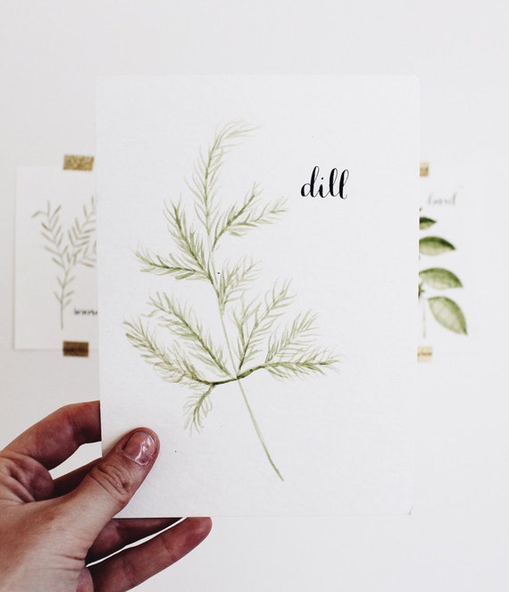 Dill Hand Painted Watercolor Herb