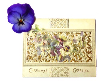 Antique Edwardian Christmas card 1900s