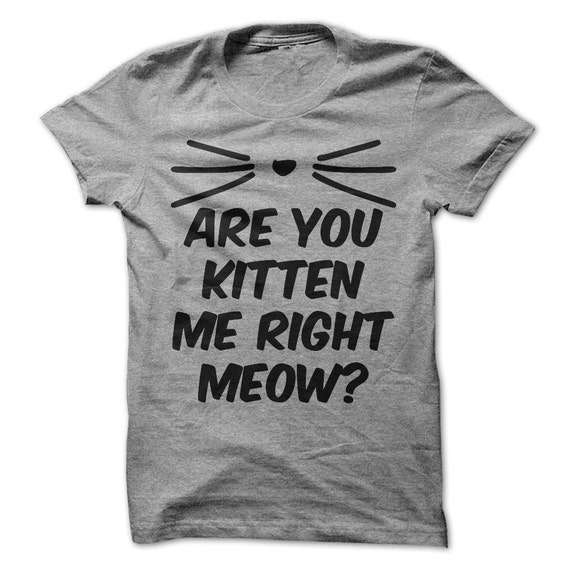 Are You Kitten Me Right Meow Tshirt Funny by LuckyMonkeyTees