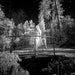 Items Similar To Nude In Nature Pagan Naked Art Female Model In Forest Infrared Fine Art Photo