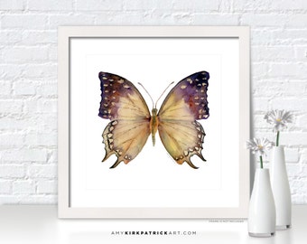 Tan BUTTERFLY Painting, Butterfly Art, Butterfly Print, Original Butterfly Watercolor, Butterfly Greeting Cards, 63 Great Nawab Butterfly