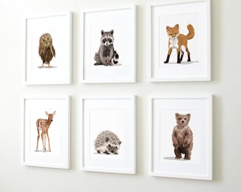 Woodland nursery art, baby forest animals, set of six unframed prints - childrens nursery artwork, raccoon. fox, owl, deer, bear, hedgehog