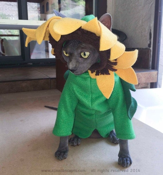 SunFlower cat costume Costumes for Pets Flower Hat