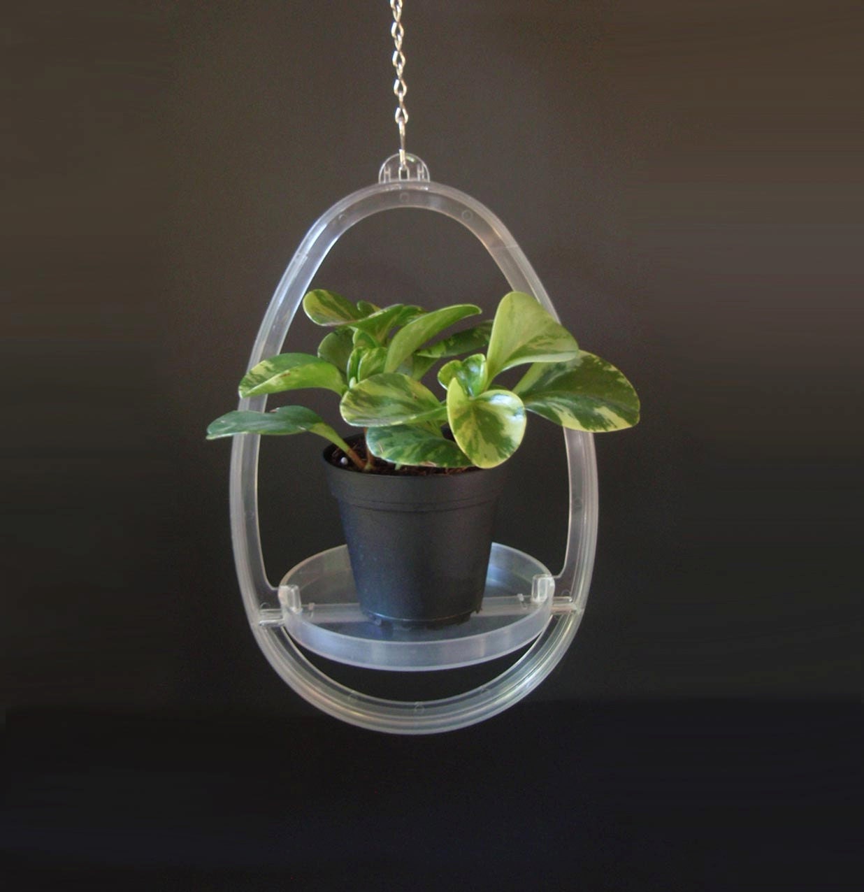Cool Vintage Mid Century Hanging Planter/ Clear Acrylic Plant