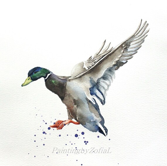 Mallard duck original watercolor painting bird painting bird