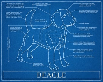 Beagle Blueprint Elevation / Beagle Art / Beagle Wall Art / Beagle Gift / Beagle Print