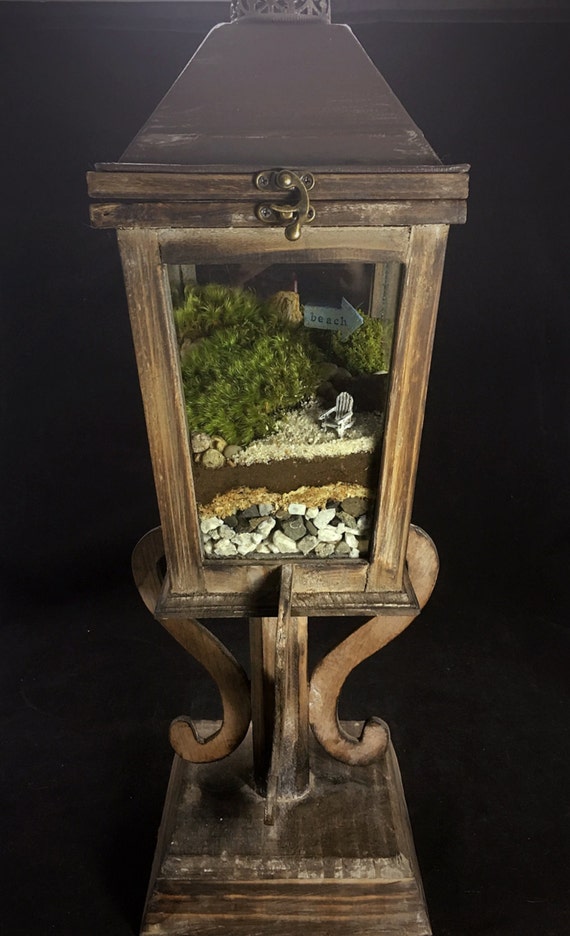 Beach Lantern TerrariumMoss by TerraSphereTerrarium on Etsy