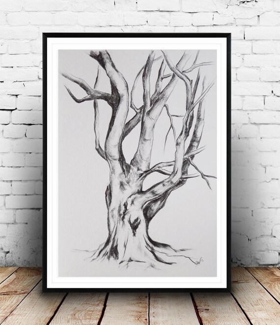 Original graphite drawing Tree drawing tree by BohemianInkStudios