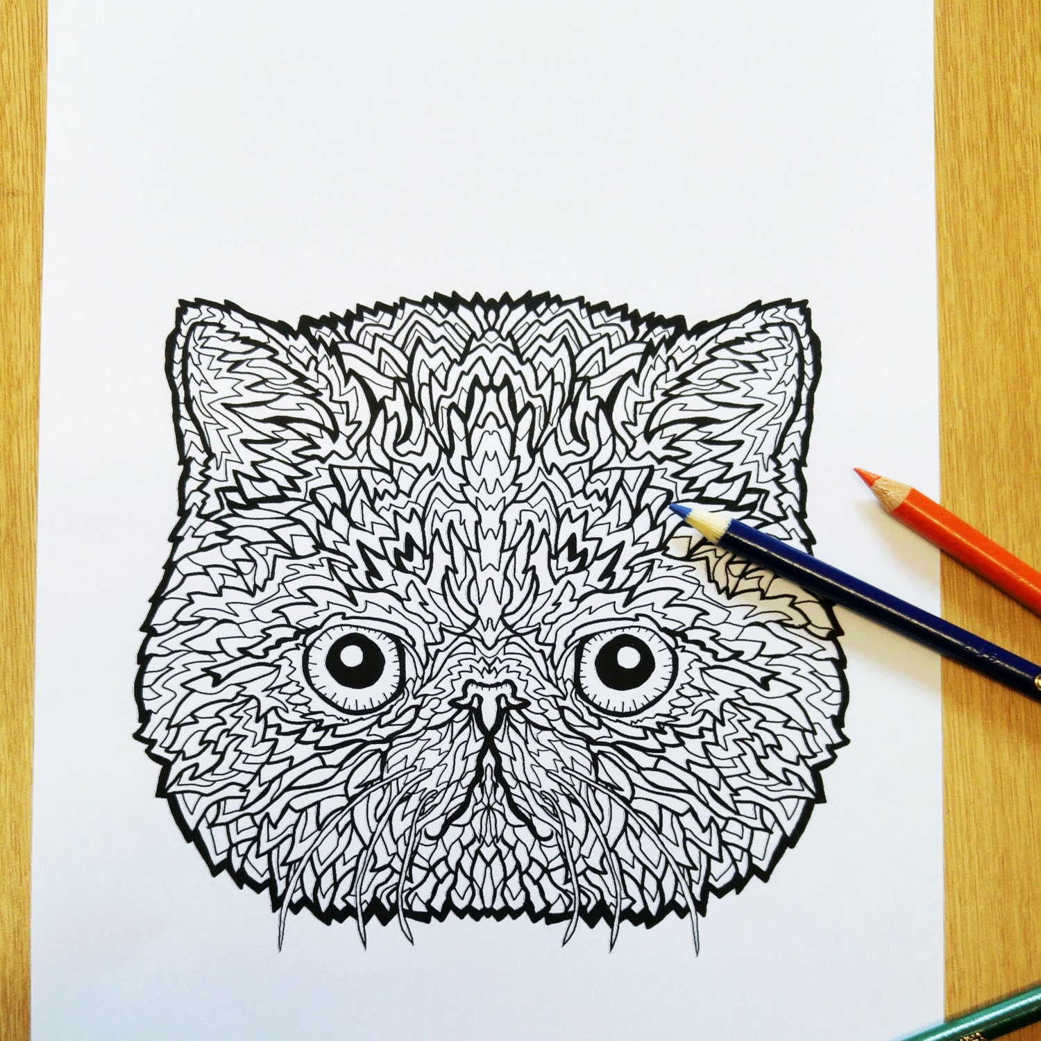 Exotic Shorthair Cat  Colouring  Sheet Complicated  Cats 