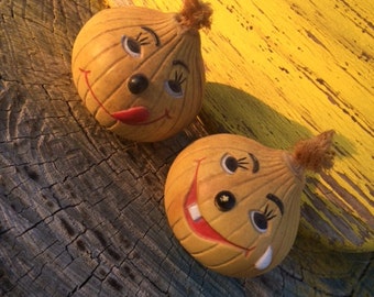 Summer Item Sale! Mr and Mrs Onion Salt and Pepper Shakers, Happy and Crying Onions, Set of Shakers
